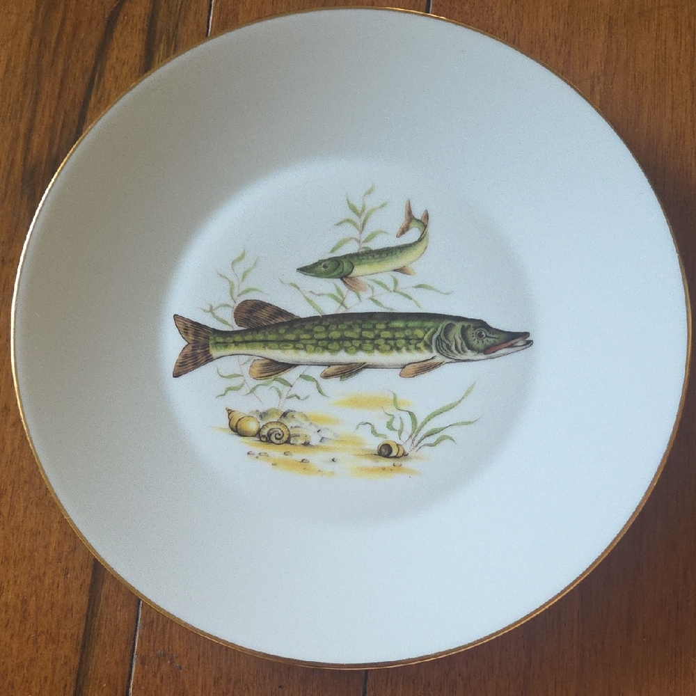 Elegant Mid-Century Fish Design Dinner Plate 9.5"